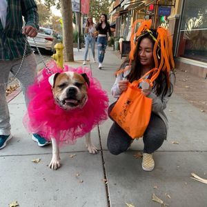 Meet your Posher, June